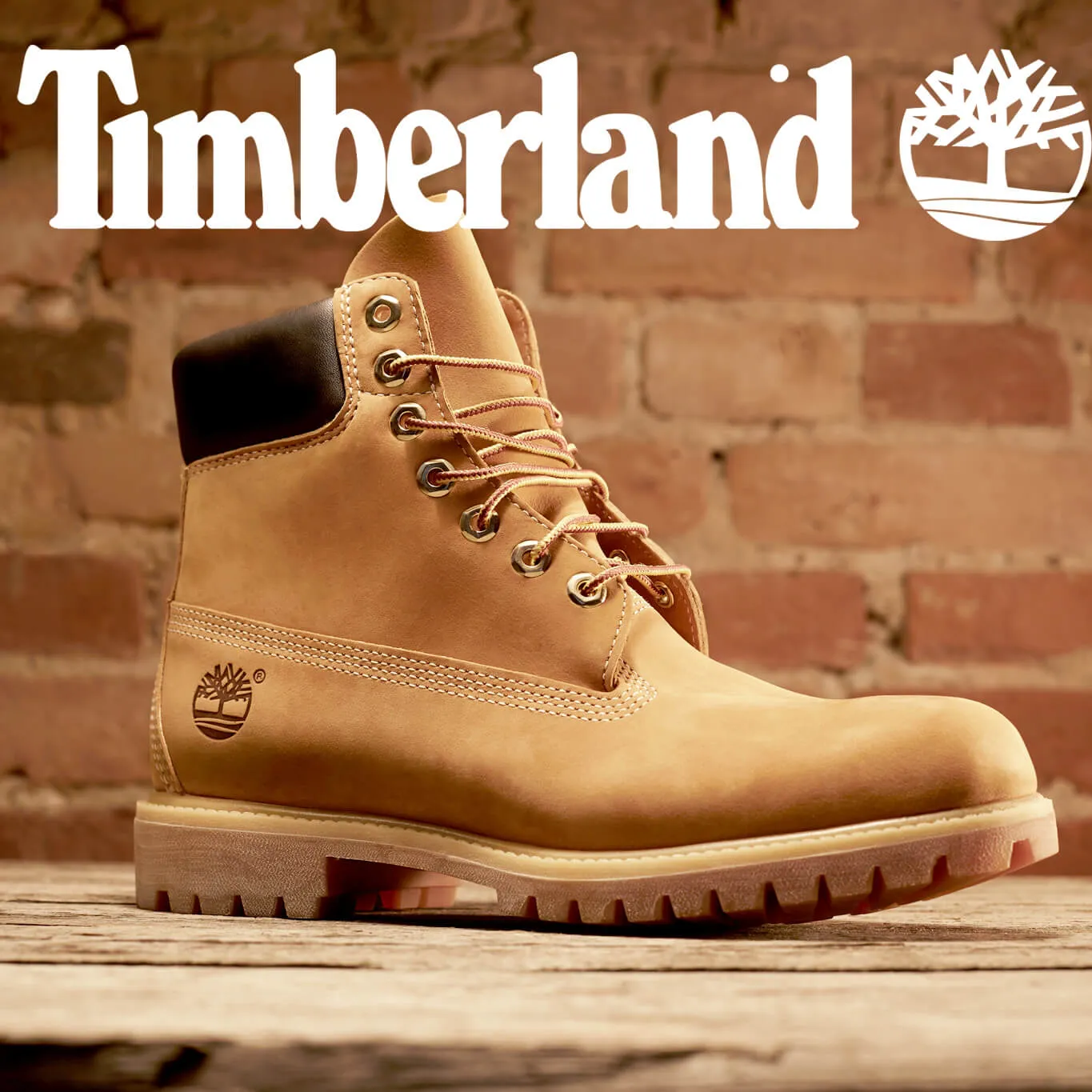 Timberland TB010061 Men's Premium 6" Boots